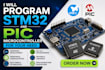 program stm32and pics microcontroller for your need