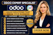 fix odoo website bugs, customize odoo erp, module and ecommerce store