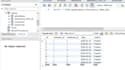 build flask web applications,