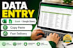 do data entry, excel and web research