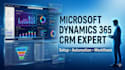 setup and customize microsoft dynamics 365 CRM