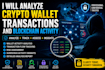 analyze crypto wallet transactions and blockchain activity