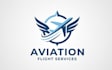 create wonderful and excellent aviation logo design