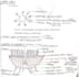 provide premium handwritten hsc study notes PDF