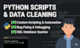 write a custom python script for data cleaning and automation