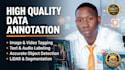 perform  accurate data annotation tasks data entry