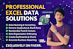 excel data cleaning, data formatting, and excel data analysis