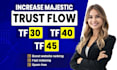 increase majestic tf 30 tf 40 tf 50 high quailty backlink
