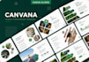 design canva presentation and editable slide templates
