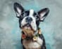 draw pet portrait with disney style