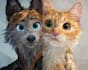 draw disney pet portrait