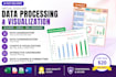 do data processing and data visualization using microsoft excel