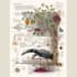 draw a scientific illustration