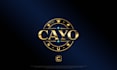 do premium jewelry and diamond style logo design