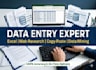 do professional data entry and data input tasks