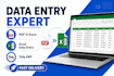 do data entry, copy paste and excel work