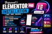 professionally install elementor pro on your wordpress website