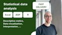 provide professional statistical analysis in r, python and excel