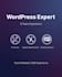 do wordpress maintenance and updates