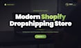 build a premium shopify dropshipping store