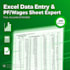 excel data entry jobs