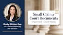 professionally prepare your small claims court document or statement