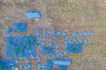 do image segmentation, data labeling annotation