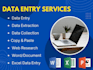 do accurate data entry, excel, word and data analysis