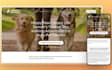 squarespace dog training website pet sitting website dog walking website