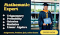 handle math, statistics, mathematics, calculus, physics work, pearson aleks d2l