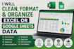 clean, format, and organize excel or google sheet data
