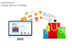 e commerce data entry