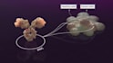 create professional 3d biotech pharmaceutical and medical animation video