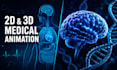 create professional 2d and 3d medical animation