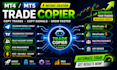 develop trader copier, signal copier, mt4 mt5 forex trading bot