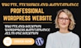 fix wordpress bug, wordpress issues, wordpress errors and wordpress maintenance