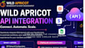 wild apricot API, work flow setup, custom integration
