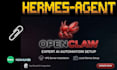 set up ai team paperclip, hermes, openclaw, personal ai agent, automation, codex