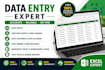 do data entry, CRM data entry, data cleanup, data mining and excel tasks