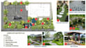 create professional landscape master plan and 3d garden design