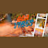 create modern and creative graphic designs