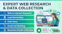 do expert web research, internet research, and data collection