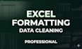clean format and fix excel or spreadsheet professionally