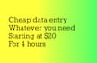 cheap data entry, word, PDF, etc
