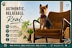 create authentic pet ugc videos for your brand