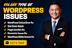 fix wordpress critical errors, bugs, plugins, and website problems