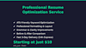 professionally optimize your resume with ai