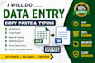 do data entry, data cleaning and excel formatting