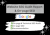 do website audit report and on page SEO