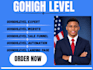 gohighlevel landing page gohighlevel sale funnel website